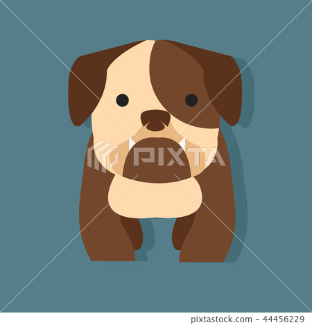 cute bulldog flat style 44456229