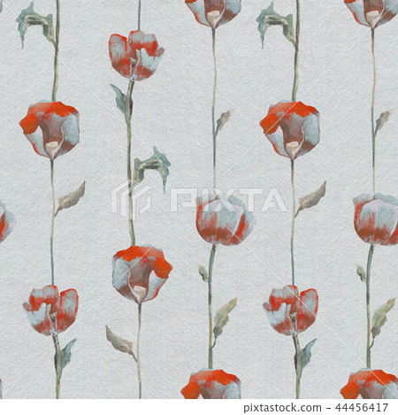 Poppies. Hand drawn Floral pattern 44456417
