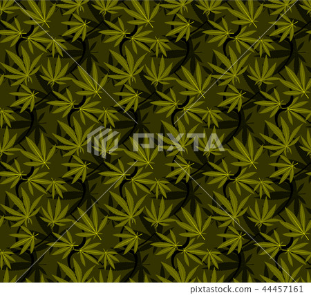 Marijuana leaves seamless vector pattern. Marijuana leaves seamless vector pattern. 44457161