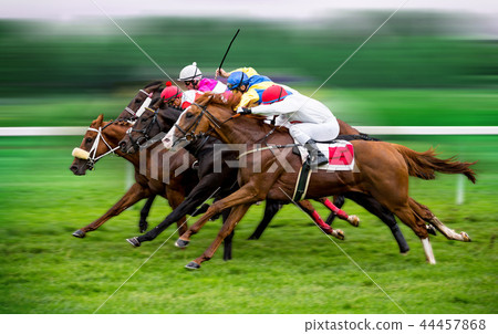Race horses with jockeys on the home straight 44457868