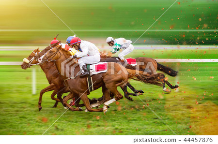 Race horses with jockeys on the home straight 44457876