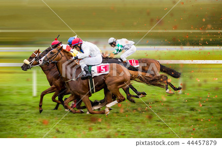 Race horses with jockeys on the home straight 44457879