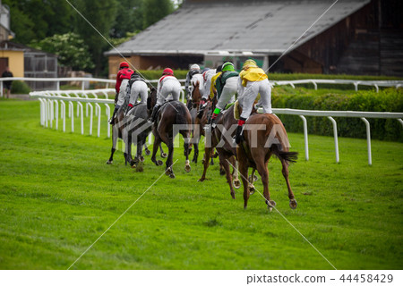 Race horses with jockeys on the home straight Race horses with jockeys on the home straight 44458429