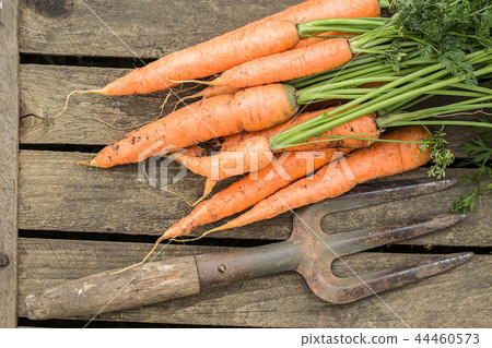 Bunch of carrots on old cutting board Bunch of carrots on old cutting board 44460573