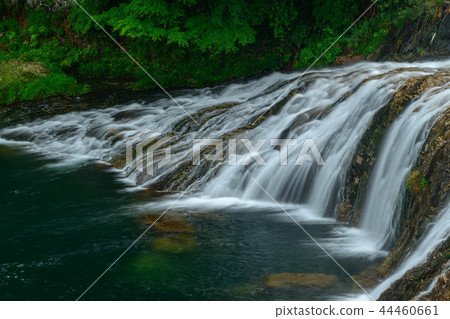 愛知縣都營鎮的針灸麻.. 44460661