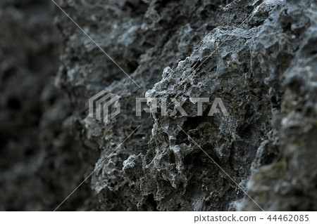Grotesque coral reef rocky shore 44462085