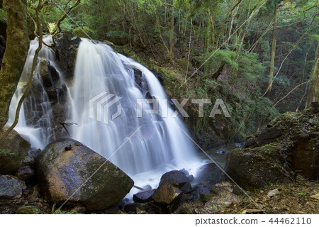 雞火影忍者瀑布（滋賀縣科卡市） 44462110