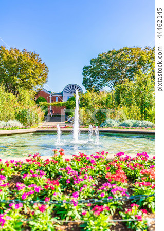 在小山公園附近環境美化以橫濱港口為目的與清楚的秋天 44462145