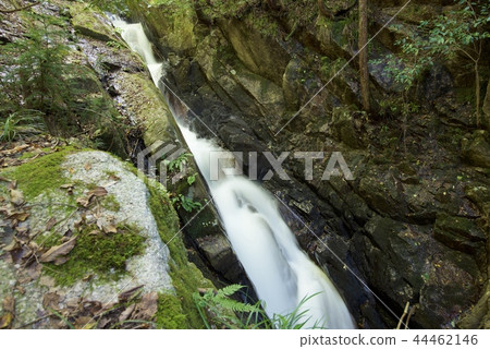 Kinnaru Hachitaki（滋賀縣Koka市）的白蛇瀑布 44462146