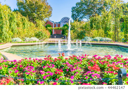 在小山公園附近環境美化以橫濱港口為目的與清楚的秋天 44462147