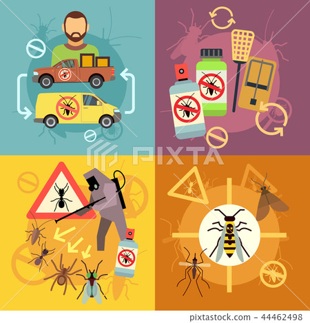 Home pest control service flat concepts set 44462498