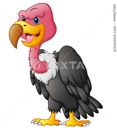 Vector illustration of Cute vulture cartoon 44462566