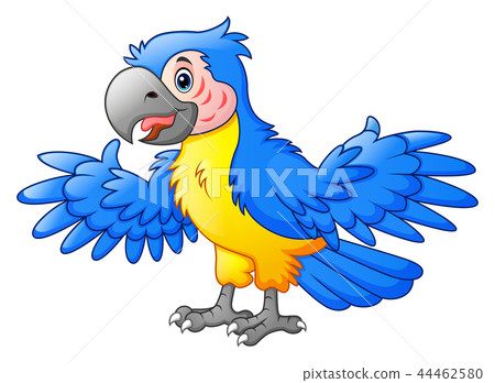 Cute Parrot cartoon 44462580