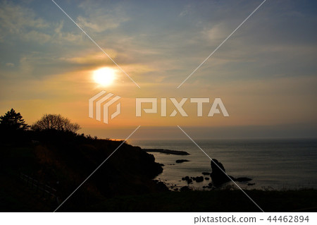 Sunset Sunset 44462894