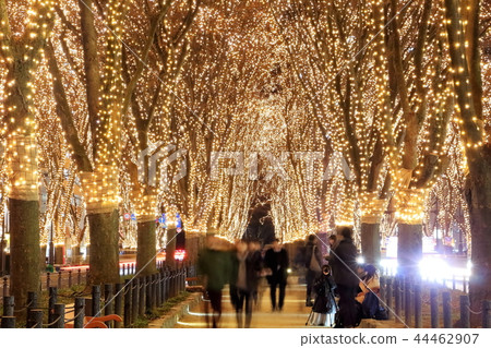 Pageant of light Pageant of light 44462907