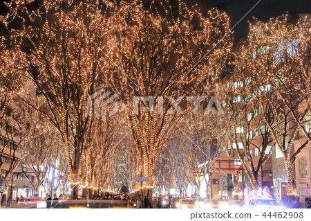 Pageant of light Pageant of light 44462908