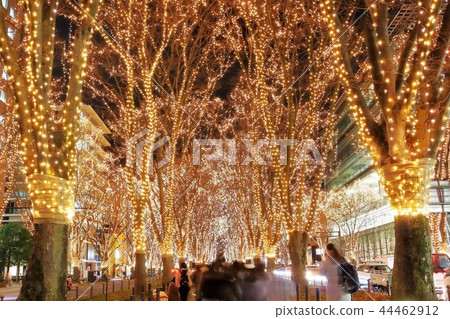 Pageant of light Pageant of light 44462912