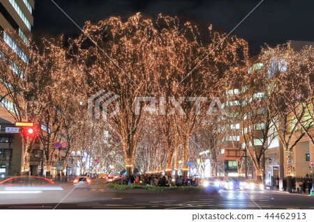 Pageant of light Pageant of light 44462913