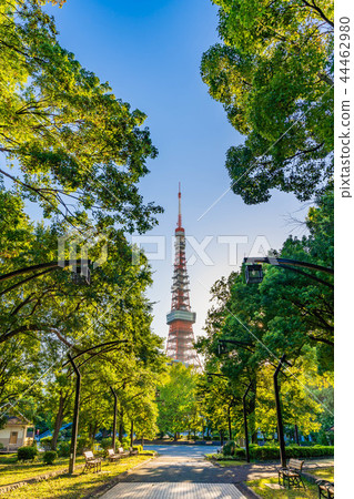 東京Shiba Koen周圍的風景與清楚的秋天 東京Shiba Koen周圍的風景與清楚的秋天 44462980