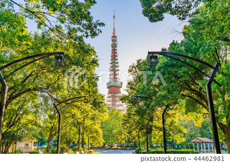 東京Shiba Koen周圍的風景與清楚的秋天 東京Shiba Koen周圍的風景與清楚的秋天 44462981