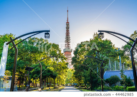 東京Shiba Koen周圍的風景與清楚的秋天 44462985