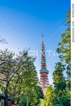 東京Shiba Koen周圍的風景與清楚的秋天 東京Shiba Koen周圍的風景與清楚的秋天 44462986
