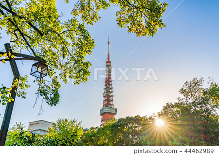 Scenery around Tokyo Shiba Koen with a clear autumn 44462989
