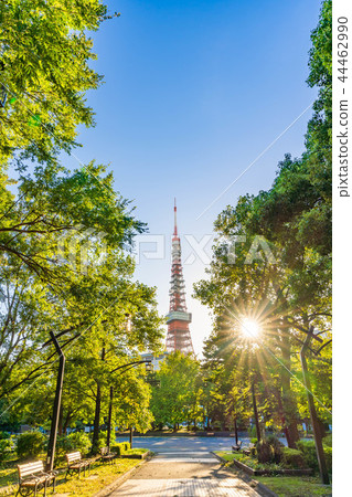 Scenery around Tokyo Shiba Koen with a clear autumn Scenery around Tokyo Shiba Koen with a clear autumn 44462990