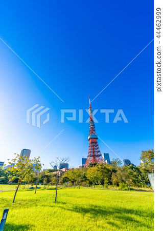 東京Shiba Koen周圍的風景與清楚的秋天 44462999