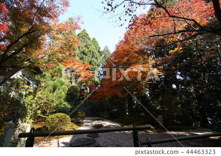 Joshoji Joshoji 44463323