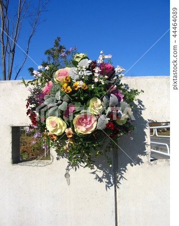 Hanging basket Hanging basket 44464089