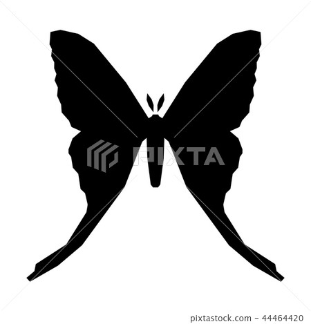 Comet moth vector icon isolated on white. Female Comet moth vector icon isolated on white. Female 44464420