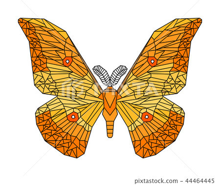 Japanese silk moth stylized vector illustration Japanese silk moth stylized vector illustration 44464445