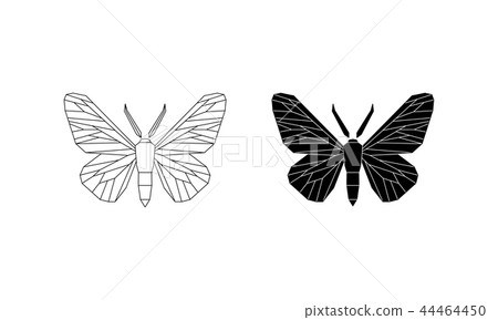 Peppered moth melanic and light form. Vector  44464450