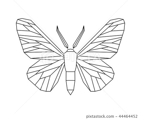 Peppered moth, Biston betularia . Vector icon  44464452
