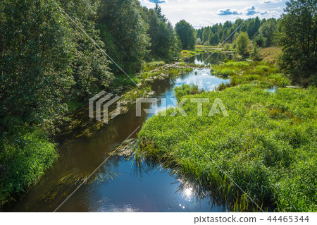 Summer landscape with a small river. 44465344