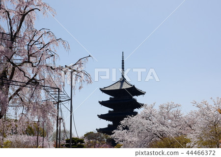 東治 東治 44466372