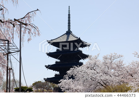 東治 東治 44466373