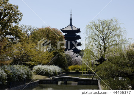 東治 東治 44466377