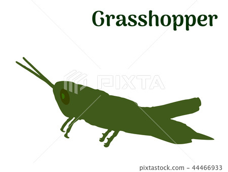 Green Locust profile on white, vector eps 10 Green Locust profile on white, vector eps 10 44466933