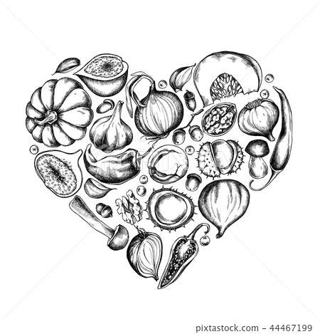 Vector collection of hand drawn autumn vegetables shape of heart 44467199