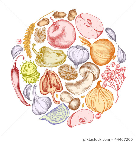 Vector collection of hand drawn autumn vegetables round shape 44467200