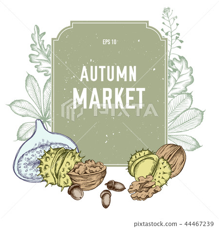 Vector collection of hand drawn autmn market 44467239