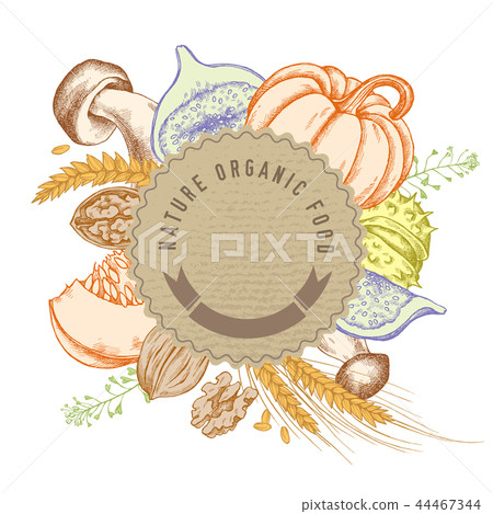 Round paper emblem over autumn food. Hand drawn vector illustration 44467344