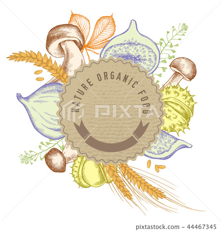Round paper emblem over autumn food. Hand drawn vector illustration 44467345