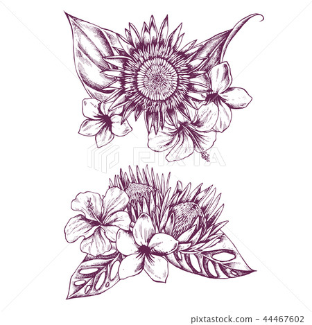 Hand drawn illustration of flowers and leaves. Highly detailed vector sketch 44467602