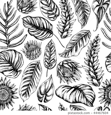 Vector seamless pattern of palm leaves and calathea. Hand drawn vector illustration Vector seamless pattern of palm leaves and calathea. Hand drawn vector illustration 44467604