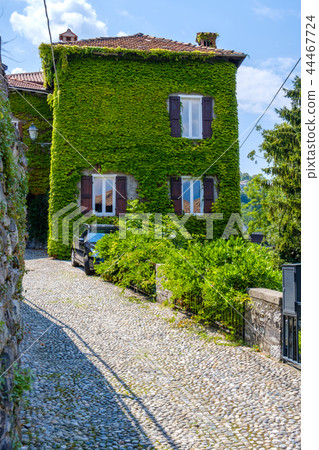 House with facade full of green leaves 44467724