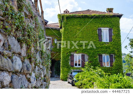 House with facade full of green leaves 44467725