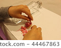 Herbarium 44467863